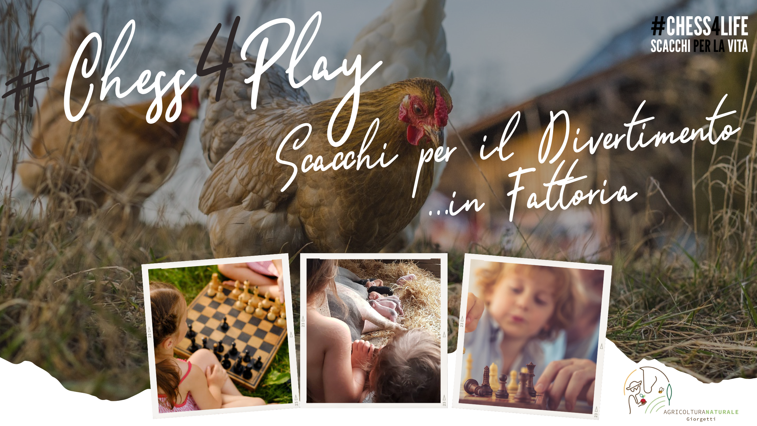 #Chess4Play – Scacchi per il Divertimento… in Fattoria il 9 settembre!